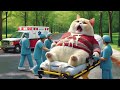 cat family motorcycle crash sad story cat_cute cat #cute #catlover #trendingvideo #virqlvideo #fory