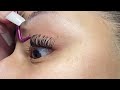 DIY LASHES FADLASH LASH CLUSTERS AMAZON