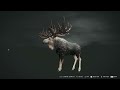 theHunter: Call of the Wild - Fabled Speckled Great One Moose Bow Hunt