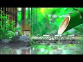 Gentle Music - Pleases The Soul🌿 Healing Music For The Heart And Blood, Relaxing Music, Bamboo