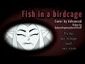 Fish in a Birdcage | Cover