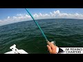 How to Catch Redfish, Snook, and Trout in Crystal River, Ozello, Homosassa