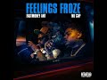 Feelings Froze (feat. NoCap)