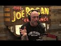 Big Bang Just DISPROVEN?! Joe Rogan & Stephen C. Meyer