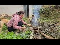 Full video: 30 days garden visit, camera installation, water supply, kitchen work, railing...