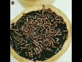 Mini tortinhas com creme de chocolate. Bem simples e gostosas..