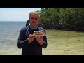 Gordon Ramsay Cooks Up a Shrimp Po Boy in the Florida Keys
