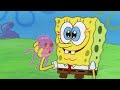 SpongeBobs Anleitung zum Quallenfischen! | SpongeBob Schwammkopf