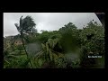 Hurricane Beryl had some Strong Winds | Hurricane in Grenada #hurricane #nature