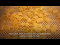 Pasta carbonara in Rome | Where Locals Go