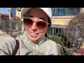 CHICAGO VLOG I LIFE UPDATE!