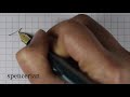 Spencerian Penmanship for beginners Part 1 | How to write in Spencerian script | Cursive handwriting