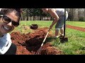 Garden Vlog 1: Transplanting Shrubs 🌳🚙🌳