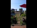 សមុទ្រឈើបាយឆៅ_ Sea forest Bay Chau in Mondulkiri