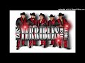 LOS TERRIBLES DEL NORTE (Cumbias)