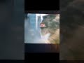 Godzilla x Kong custom trailer