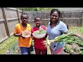 Spring Harvest 2024// Growing My Food In My Backyard// Garden Answer & Solution @gloriousliving6298