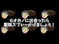 【おさじょマニア】 Gとの壮絶バトル　#おさジョマニア