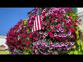 🌺 AMAZING Gardens with Bird Singing and Natural Sounds | Mackinac Island Garden Tour