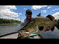 Topwater Chaos Massive Fish Explodes in Epic Strike!