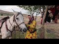 Nomadic Woman Riding Horse & Shooting Gun : Nomadic Lifestyle Of Iran