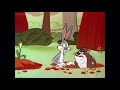 Looney Tunes Cold Cold Ground