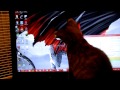 Kitten #2 Attacking mah screens
