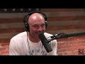 Joe Rogan Analyzes Muhammad Ali vs. Cleveland Big Cat Williams