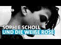 Sophie Scholl und die Weiße Rose | SWR2 Audiopodcast