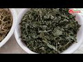 How To Dry Taro Leaves | Dry #Taro Stem | Raw Eating Taro |Sukha #Kochu | Nagaland Foodie