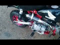 Fast 150cc Monkeybike