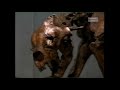 The Short-Faced Bear: America's Top Predator