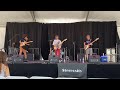 RADIOHEAD - BODYSNATCHERS (Stereosity Cover) | LIVE From the OC Fair
