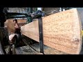 #the sawing process of large quality pine wood for production of slab board material