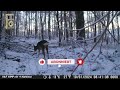 Falsche Nahlinse: Wildtiere mit der Kamera einfangen! - Part 2 - K&F Concept und Coolife