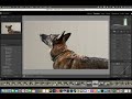 Remove anything from photos in Lightroom classic