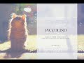 (c) Rainbow Wings - Piccolino (DEMO Soundtrack)