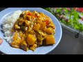 JAPANESE CURRY WITH CHICKEN AND VEGETABLES