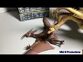 Rodan VS. King Ghidora Part 2