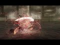 Scarlet Rot VS Hemorrhage Team Battle - Elden Ring