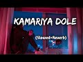 Kamariya Dole Dole lofi song 💙 | Neelkamal slowed and reverb song #lofi  #slowedandreverb #bhojpuri