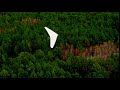 hang glider flying over forest trees aerial drone