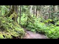 Heather Lake Trail: A Rainy Midsummer Walk (1)