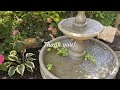 How I Maintain My Water Fountains, Fountain Maintenance With as Little Work As Possible.