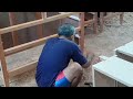 building antique cabinet#handmadefurniture