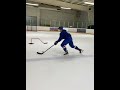 Puck protection, lateral work, blue line work