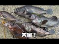 軽い気持ちで穴釣りしたらとんでもない大物たちの巣窟だった…