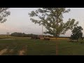 First timelapse at the farm