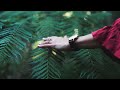 Forest • Peaceful 4K • Relaxation Film With Calming Music