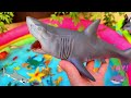 SEA ANIMALS FOR TODDLERS: SEA DRAGON, SQUID, SHRIMP, STINGRAY, SEAL, GURNARD, SHARK, AND OTHERS